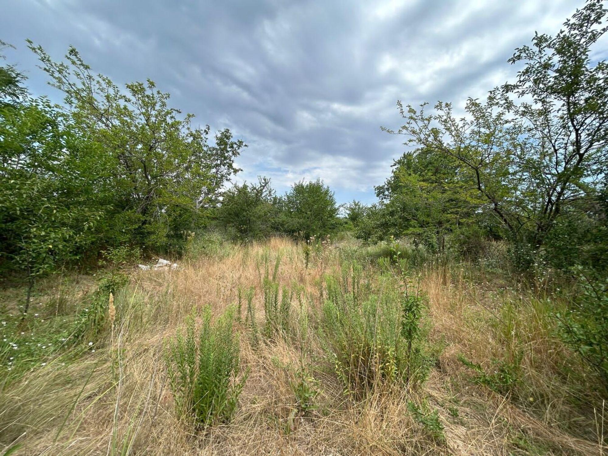 Купить землю, земельный участок за 8 300 000 рублей на хутор Заря