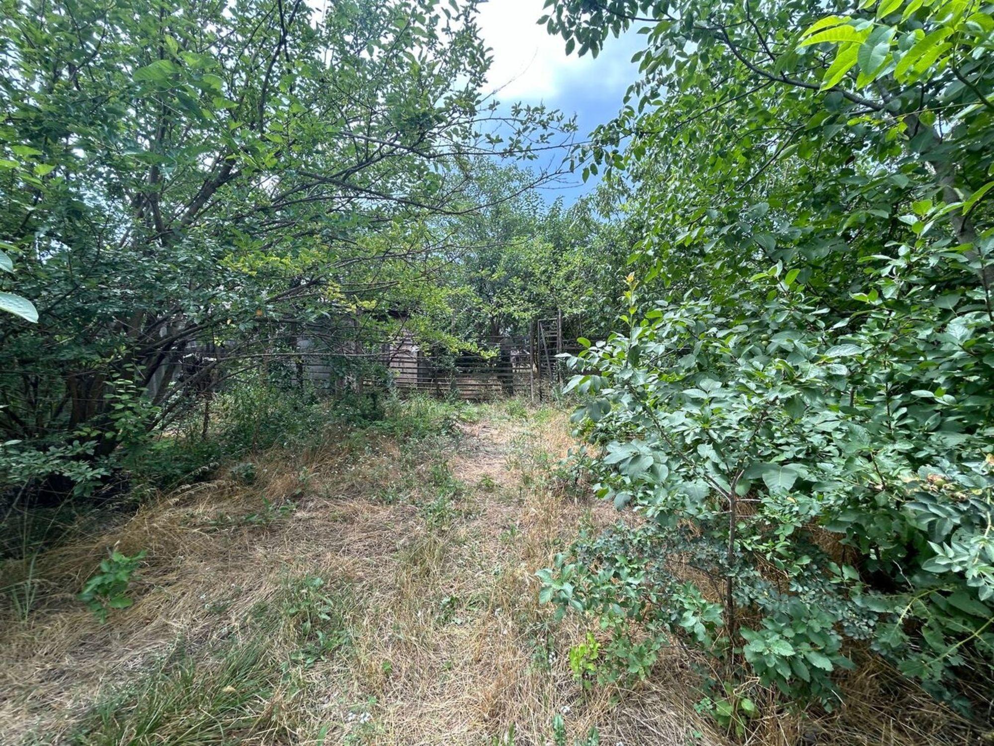 Купить землю, земельный участок за 8 300 000 рублей на хутор Заря