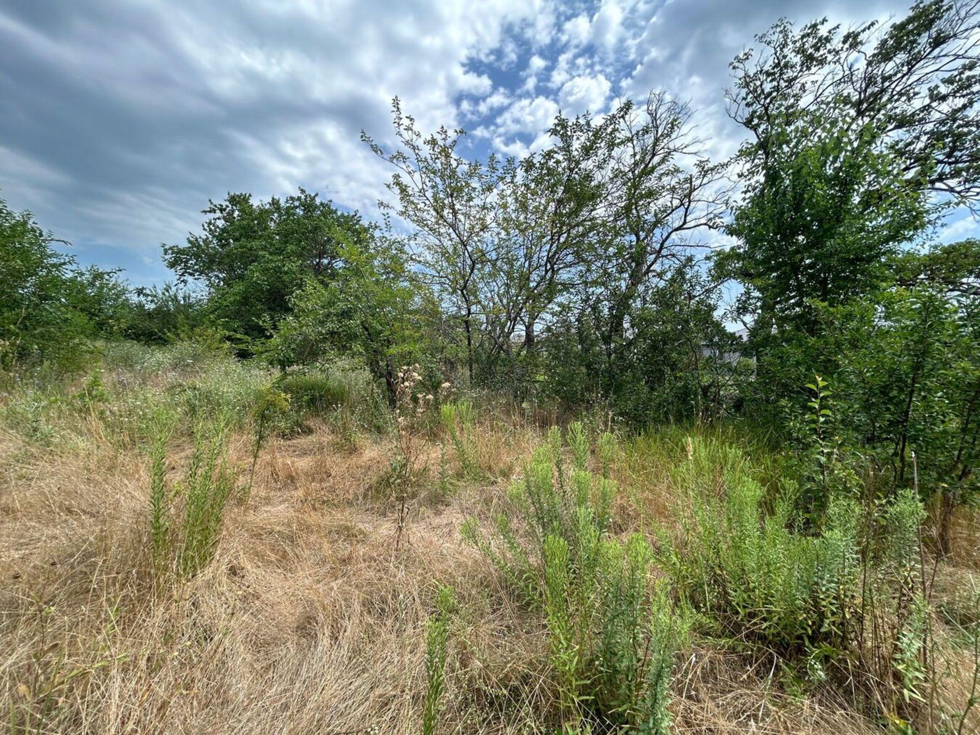 Купить землю, земельный участок за 8 300 000 рублей на хутор Заря