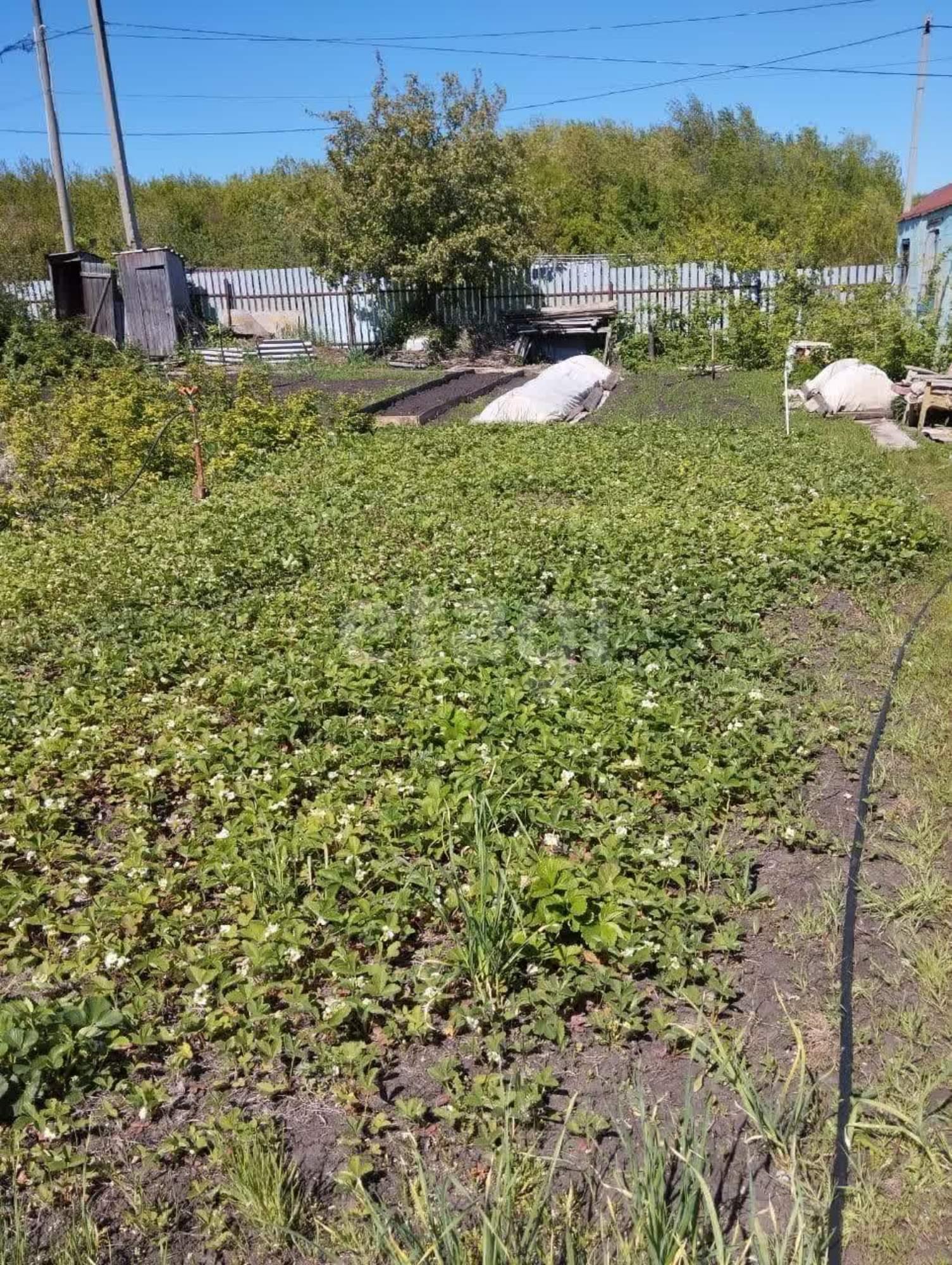 Купить землю, земельный участок за 850 000 рублей на 18-я линия,