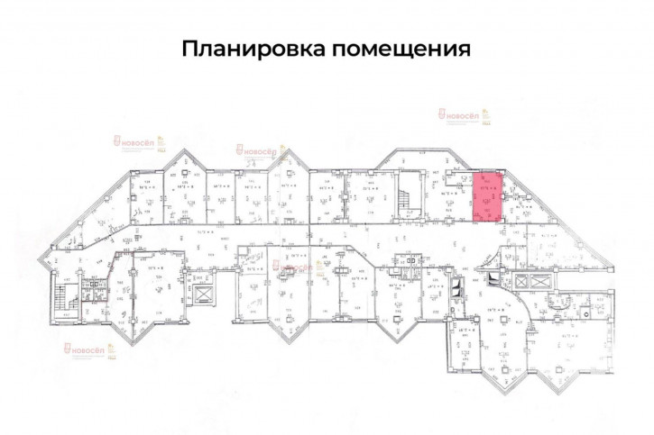 Офис Кузнечная 81