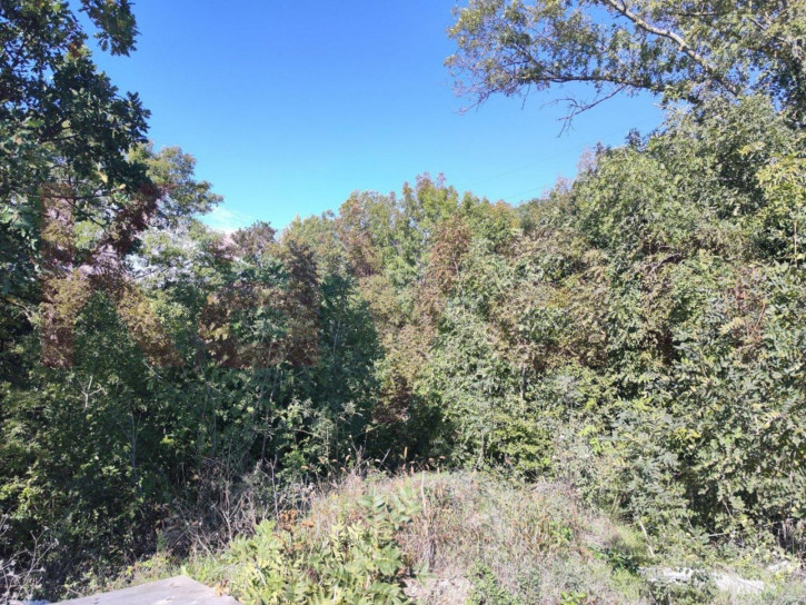 Земельный участок Центральный