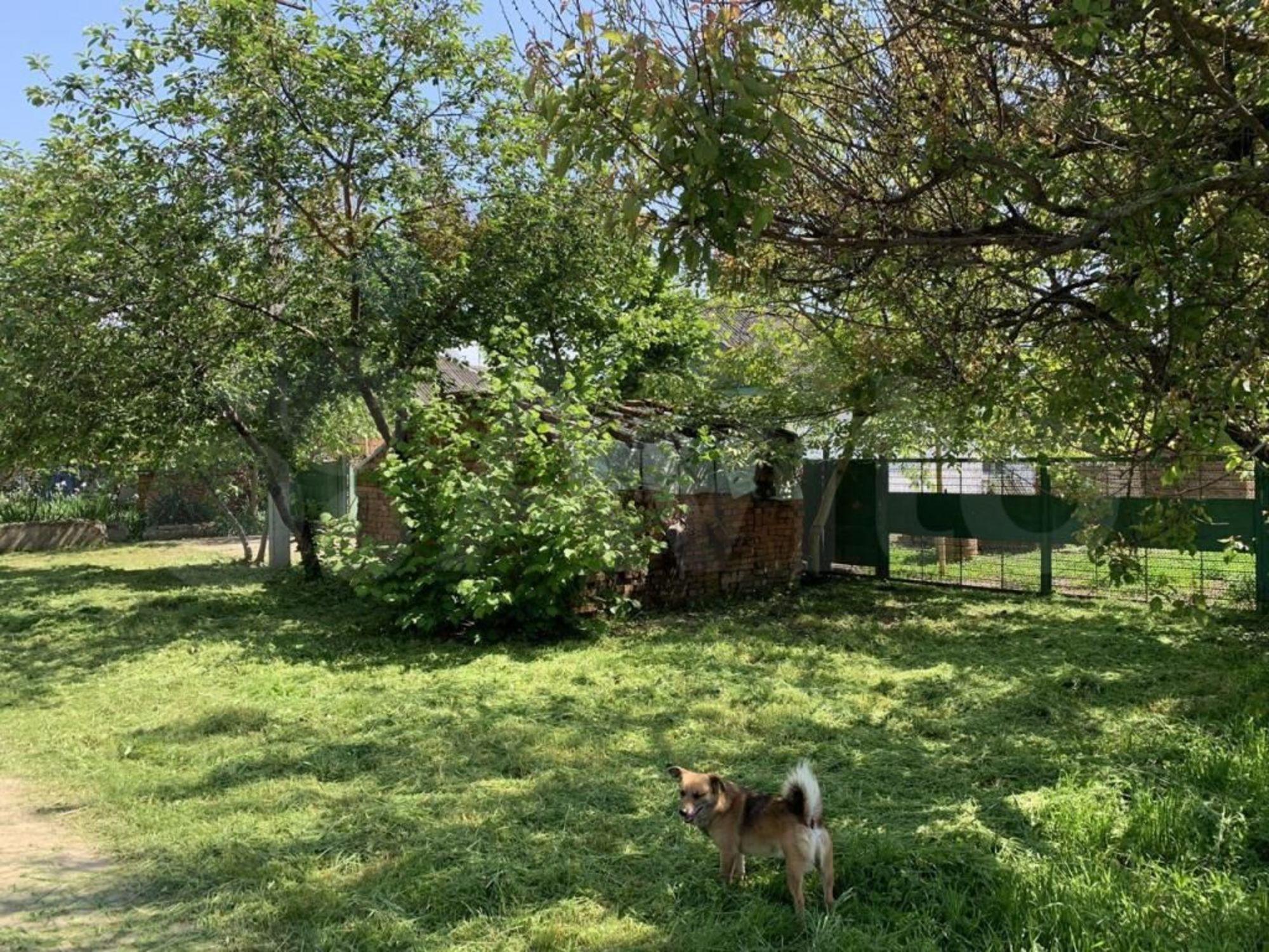 Купить дачу, дом, коттедж за 5 000 000 рублей на Восточная ул