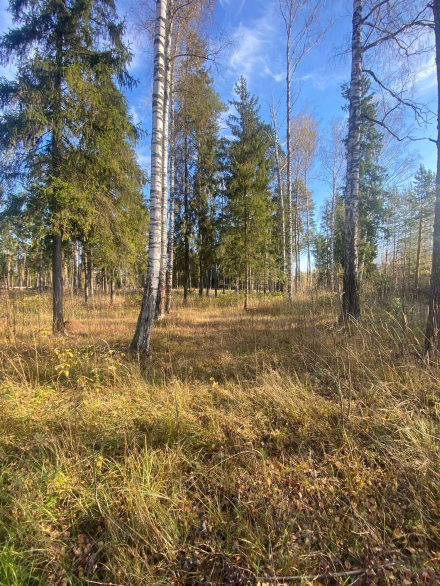 Купить землю, земельный участок за 3 850 000 рублей на Малинки д