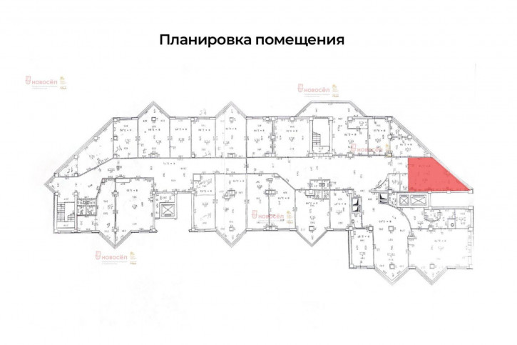 Офис Кузнечная 81