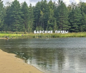 земля 10 сот Пушкинский Лес КП