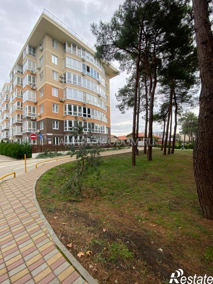 Студия Пионерский проспект, д.274Б