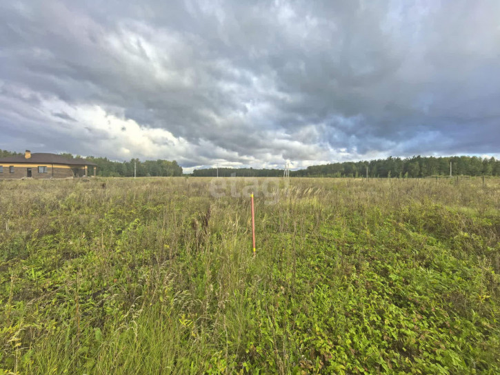 Земельный участок Пушкинский Лес КП