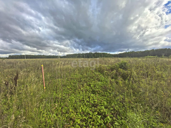 Земельный участок Пушкинский Лес КП