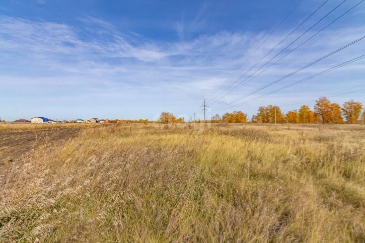 Земельный участок Васильевская,