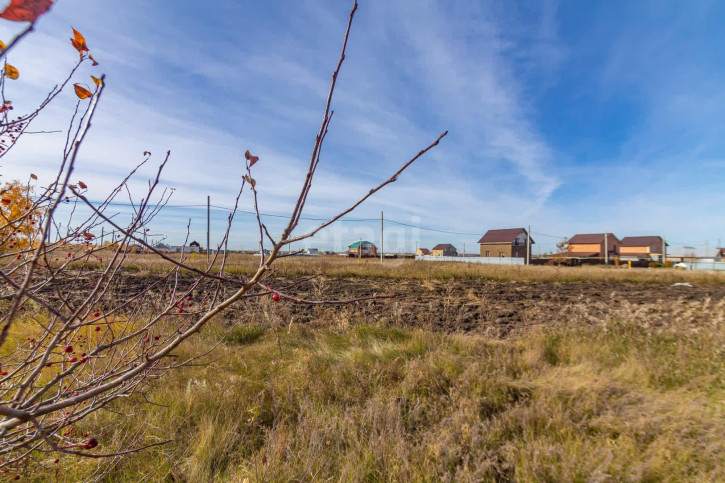 Земельный участок Васильевская,