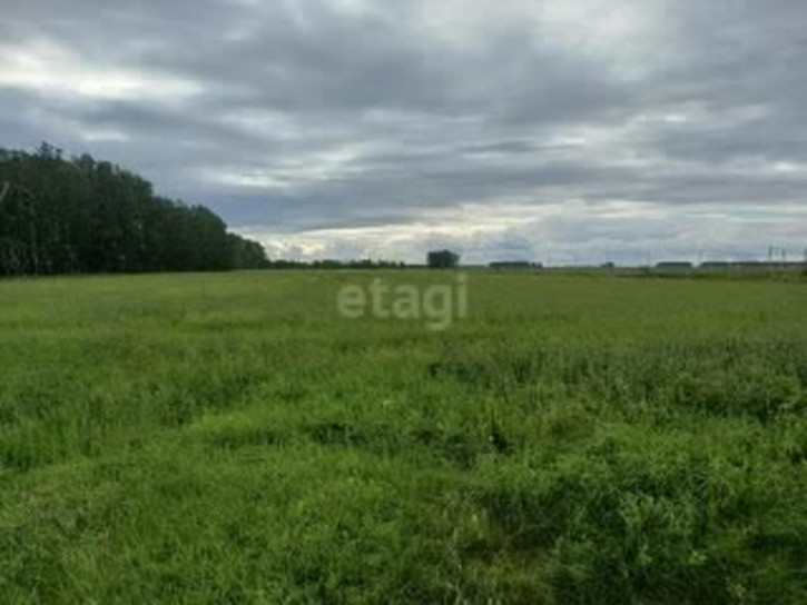 Земельный участок Новоомский п.