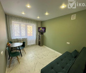 1-комн, 23.8 кв м, этаж 3/3 Березовый мкр., 243