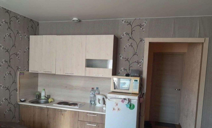 1-комн квартира Аэродромная улица, 58а