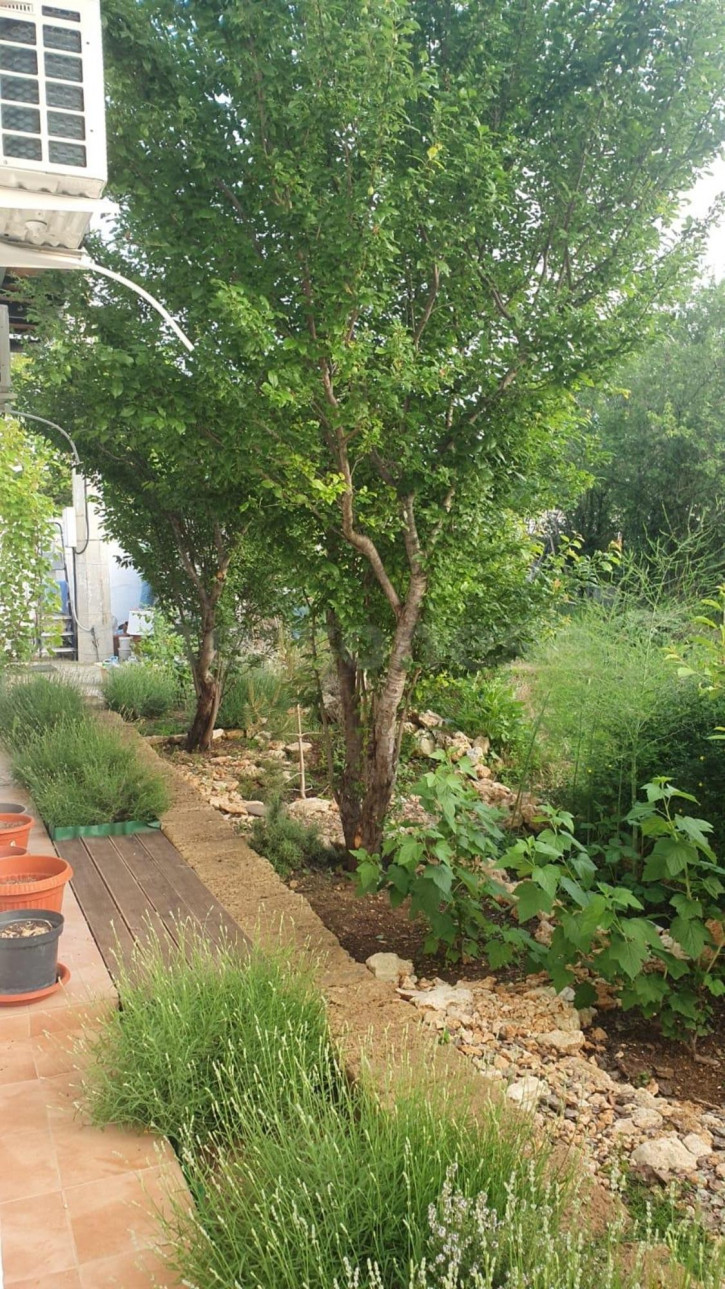 Коттедж/дом территория СТ Ветеран