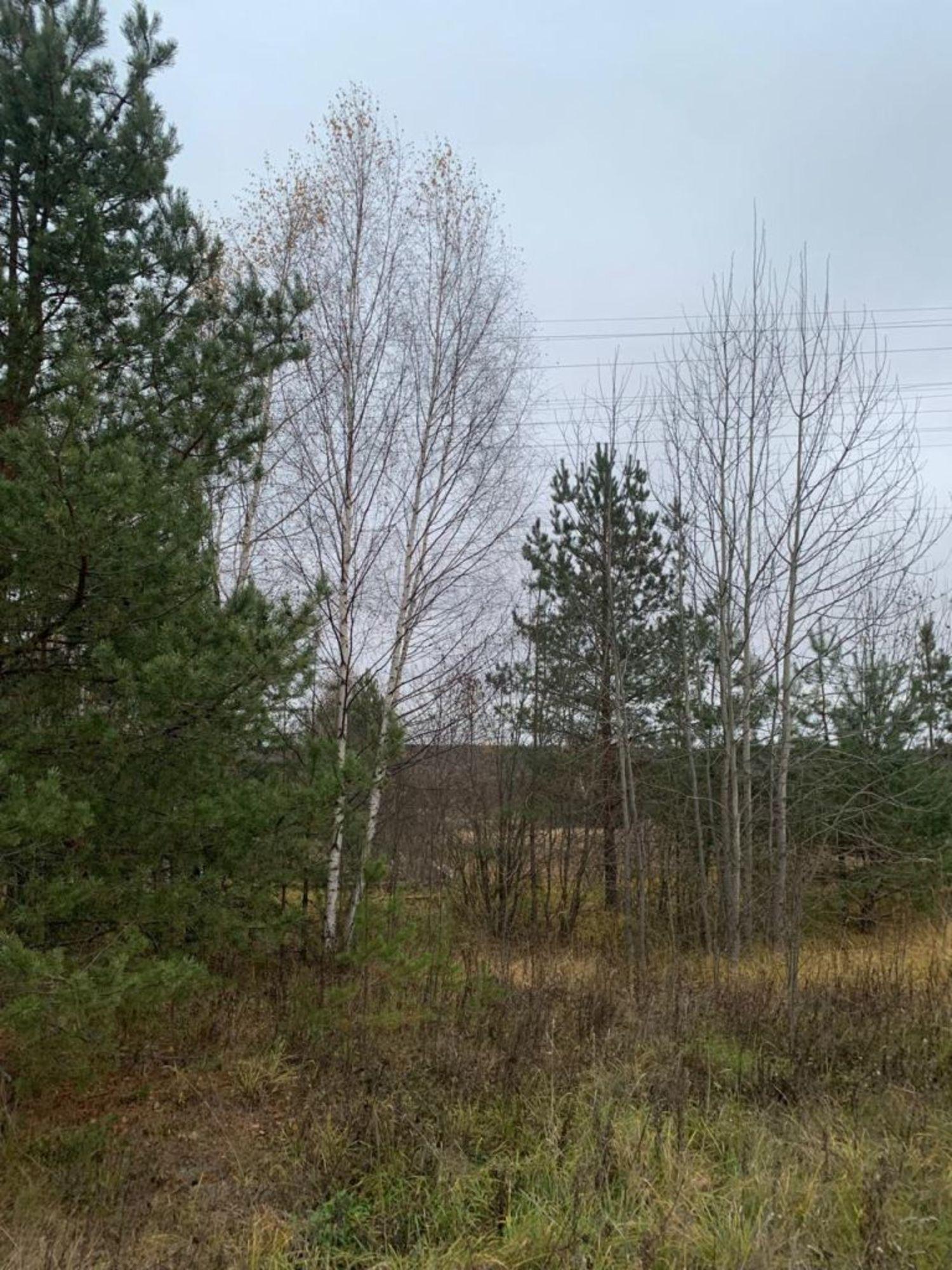Купить землю, земельный участок за 1 600 000 рублей на Городок д