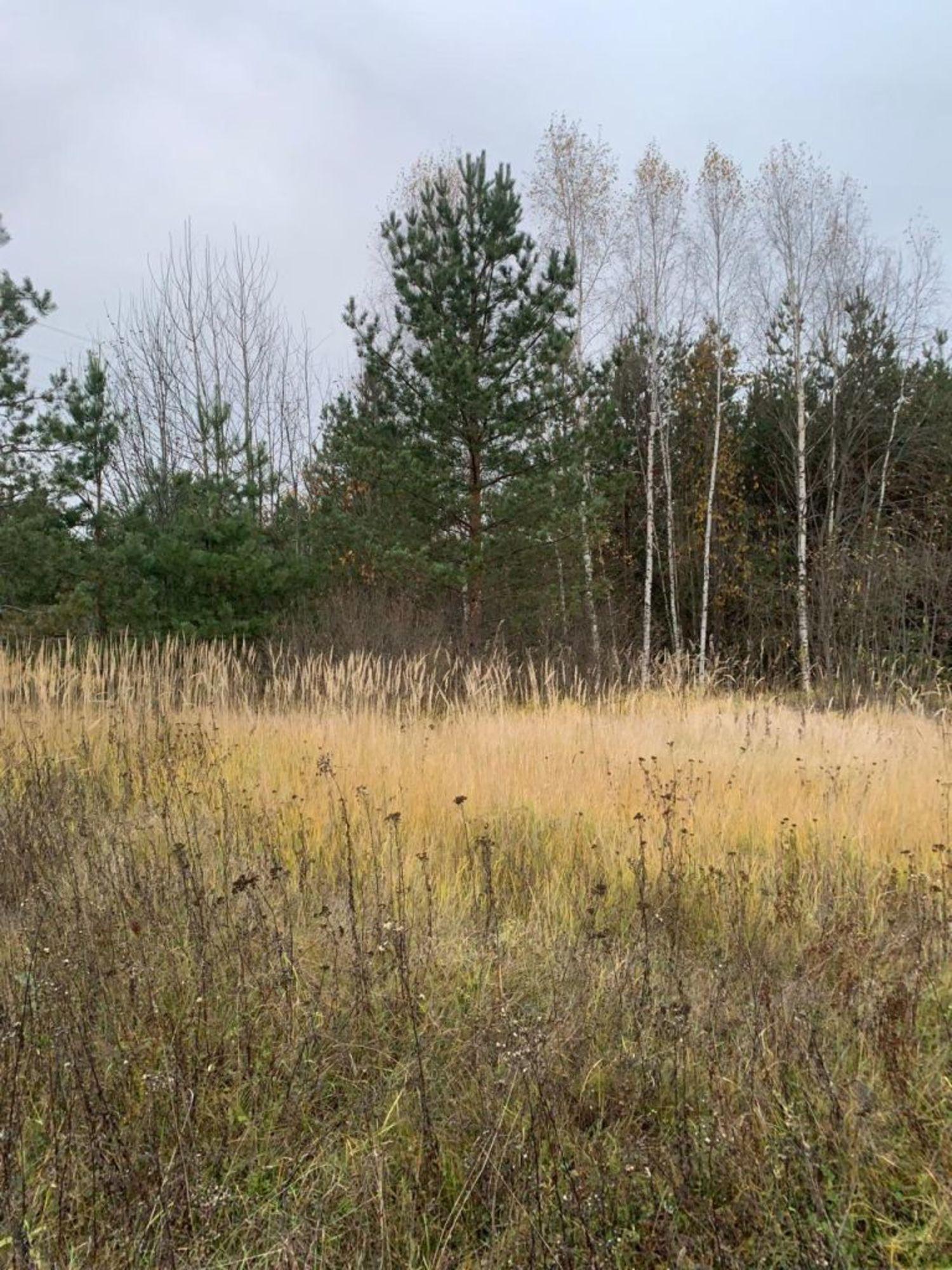 Купить землю, земельный участок за 1 600 000 рублей на Городок д