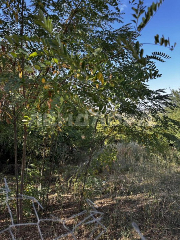 Земельный участок Школьная улица Земельный участок Школьная улица