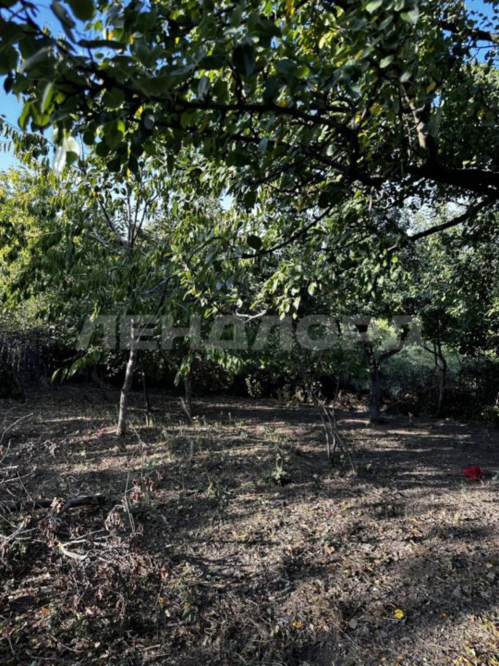 Земельный участок Школьная улица Земельный участок Школьная улица