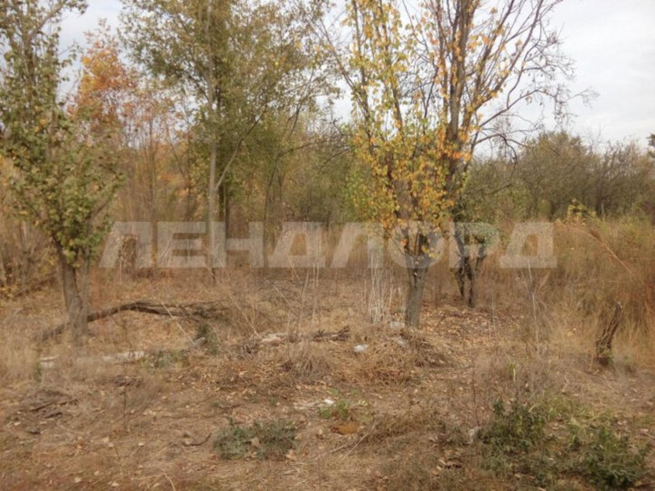 Земельный участок садоводческое товарищество Дубок