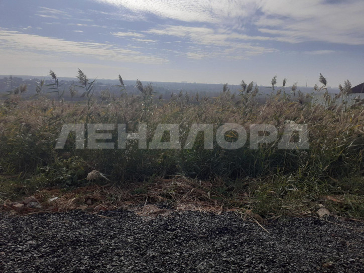 Земельный участок садоводческое товарищество Зодчий Земельный участок садоводческое товарищество Зодчий