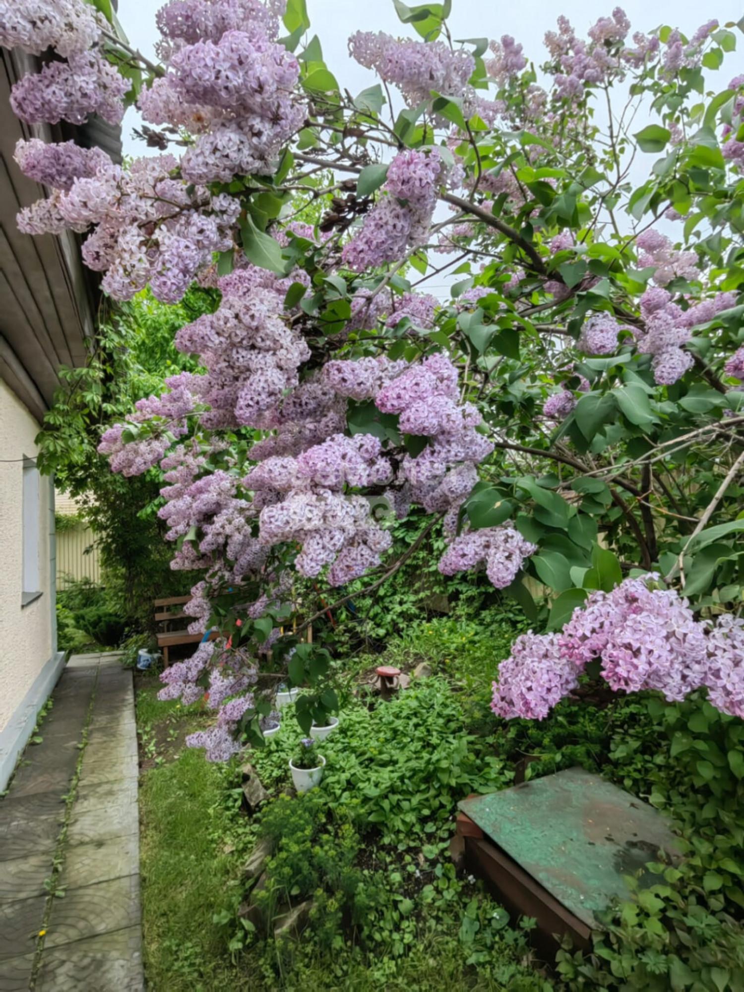 Продажа дома Ньютона, 18