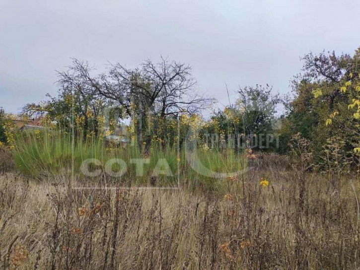 Земельный участок Лесная улица