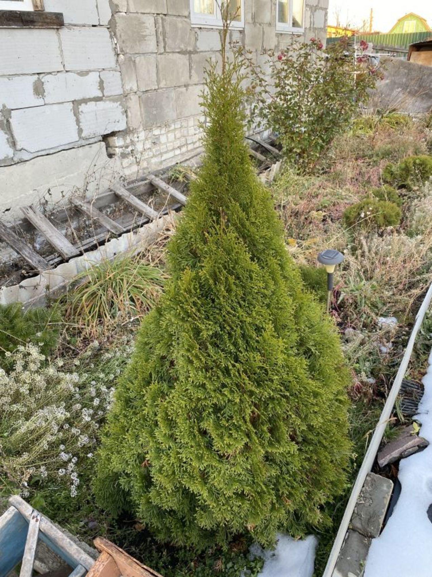 Купить дачу, дом, коттедж за 1 500 000 рублей на СНТ Электрификатор
