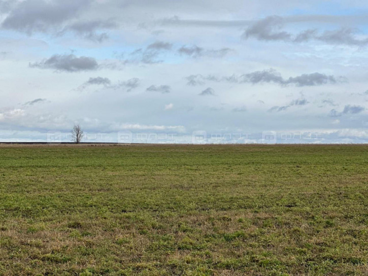 Земельный участок ул. 2-я Строителей, дом 68 Земельный участок ул. 2-я Строителей, дом 68