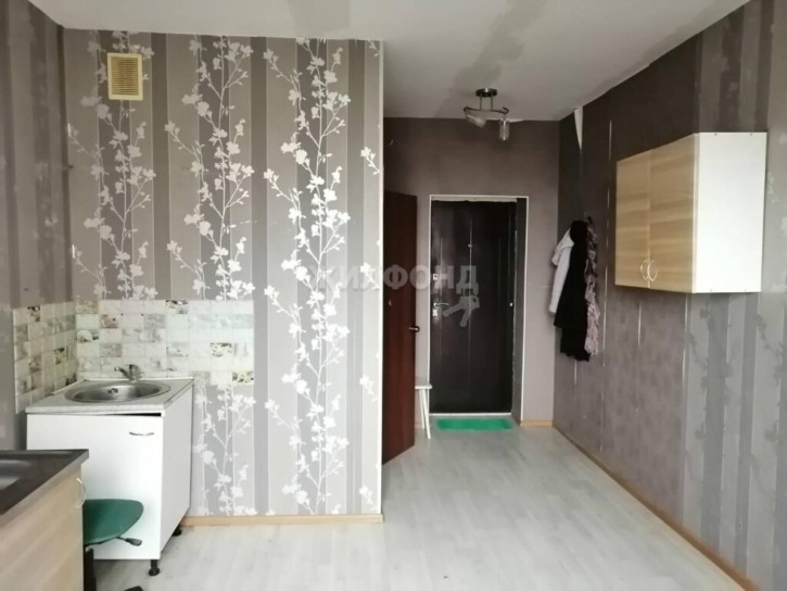 1-комн квартира село Криводановка 1-комн квартира село Криводановка