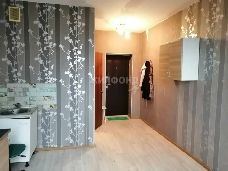 1-комн квартира село Криводановка 1-комн квартира село Криводановка