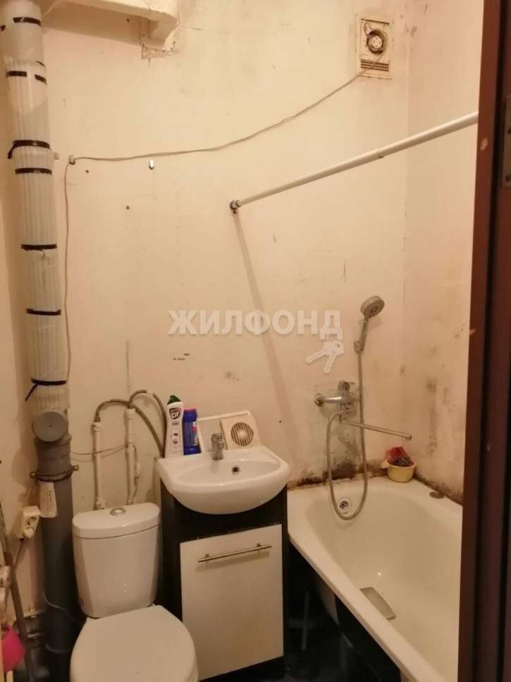 1-комн квартира село Криводановка 1-комн квартира село Криводановка