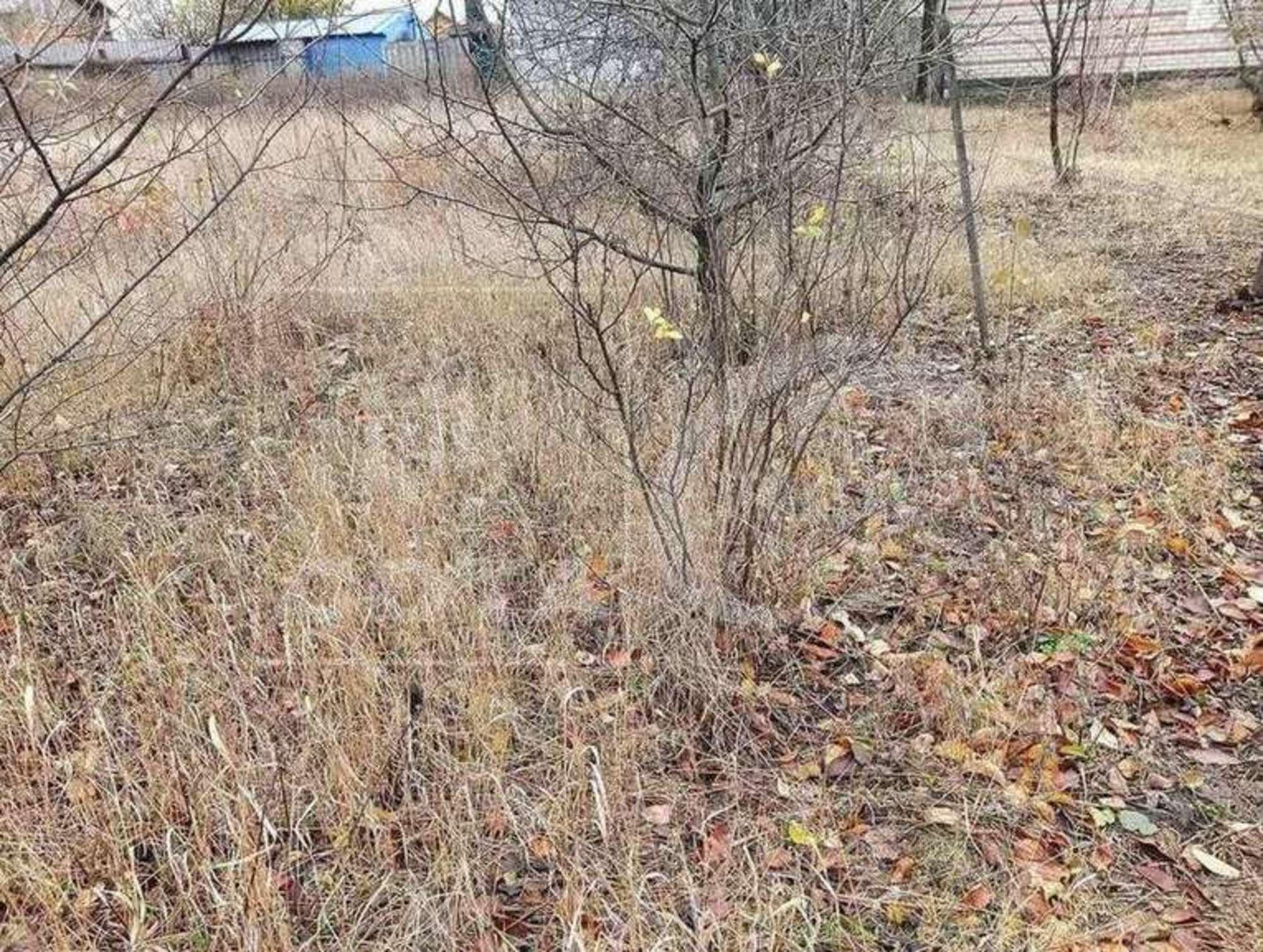 Купить землю, земельный участок за 2 600 000 рублей на Садовая улица Купить землю, земельный участок за 2 600 000 рублей на Садовая улица