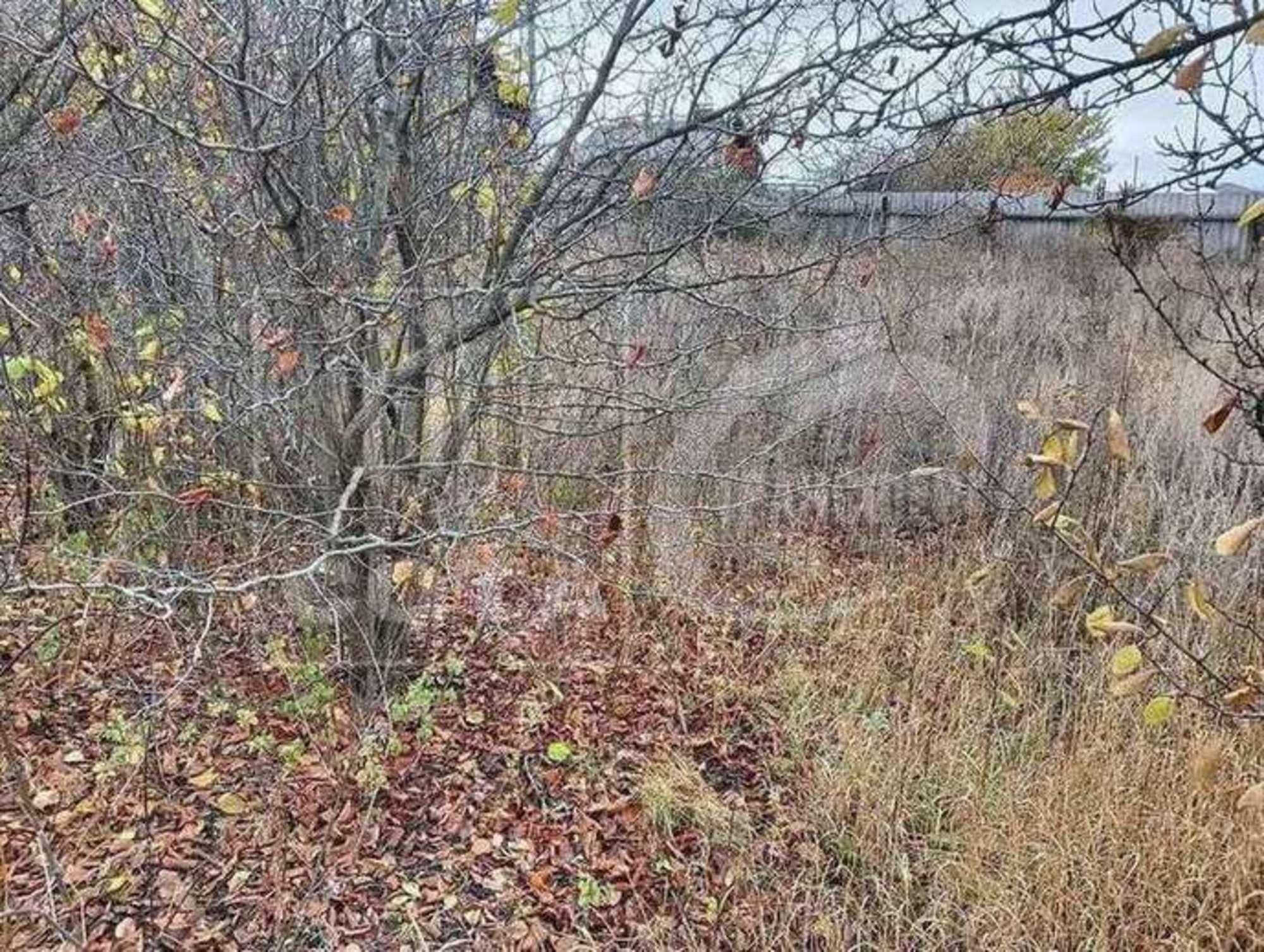 Купить землю, земельный участок за 2 600 000 рублей на Садовая улица Купить землю, земельный участок за 2 600 000 рублей на Садовая улица