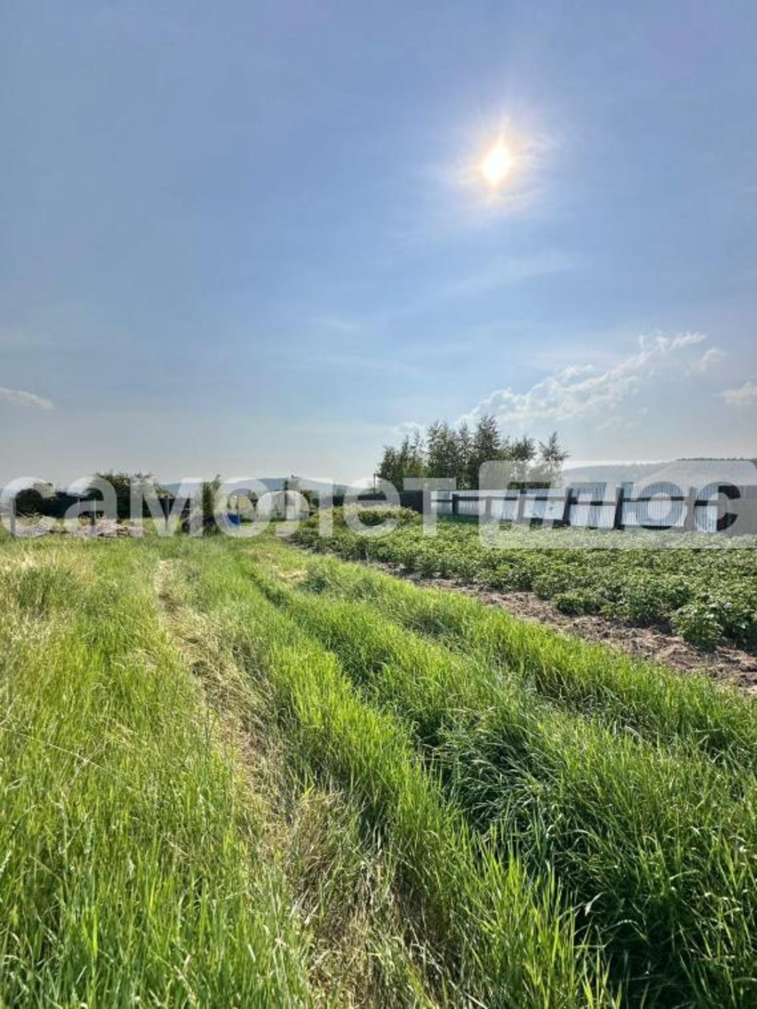 Купить землю, земельный участок за 5 800 000 рублей на Центральная, 5/1