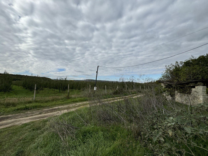 Земельный участок Школьная улица Земельный участок Школьная улица