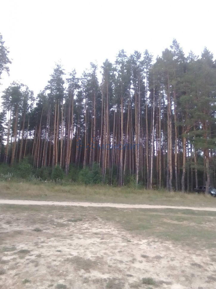 Земельный участок СНТ Дружба-2, участок 181