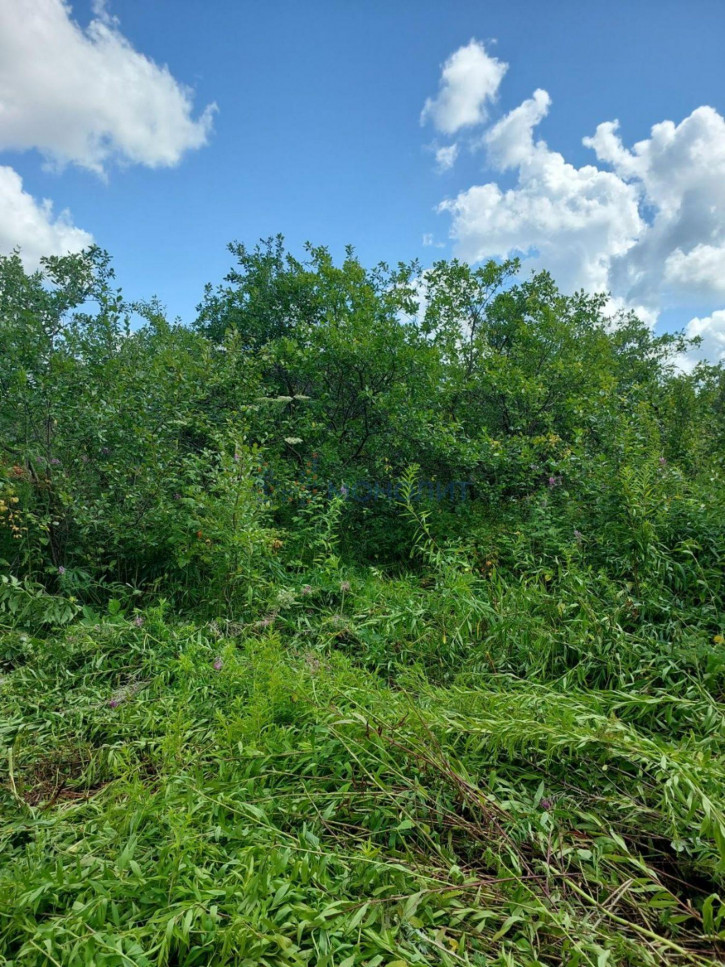 Земельный участок СНТ Дружба-2, участок 181