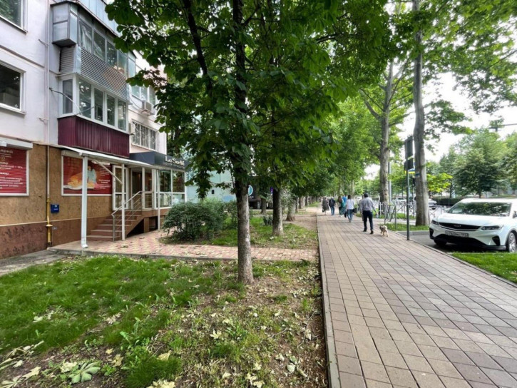 Торговое помещение Ставропольская ул, 119 Торговое помещение Ставропольская ул, 119