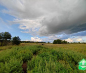 земля 3000 сот Коромыслово д земля 3000 сот Коромыслово д