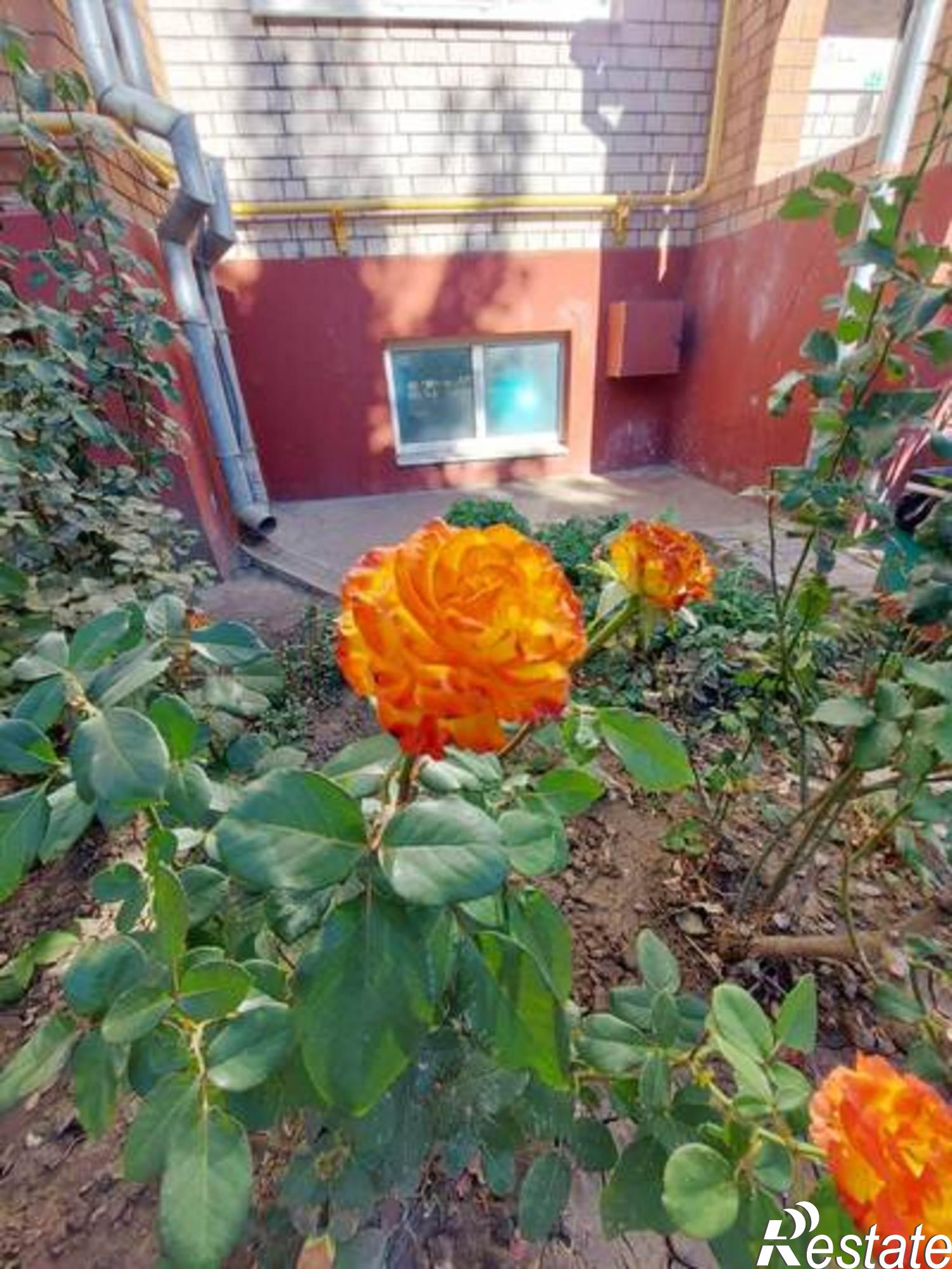 Купить квартиру за 5 500 000 рублей на 71/1