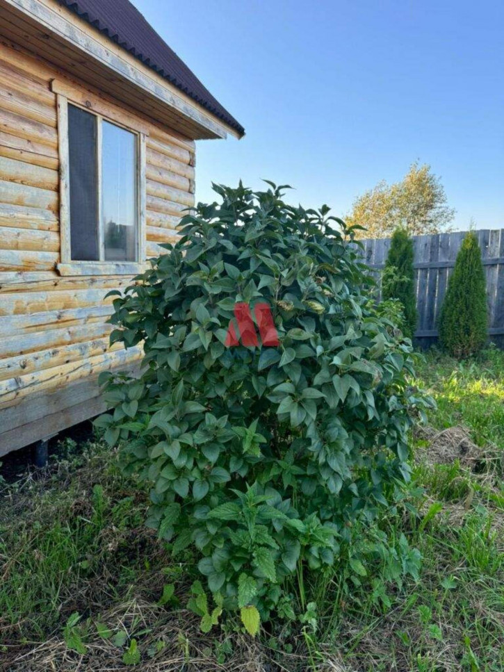 Коттедж/дом д.19 Коттедж/дом д.19