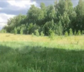 земля 47 сот ул. Дальняя