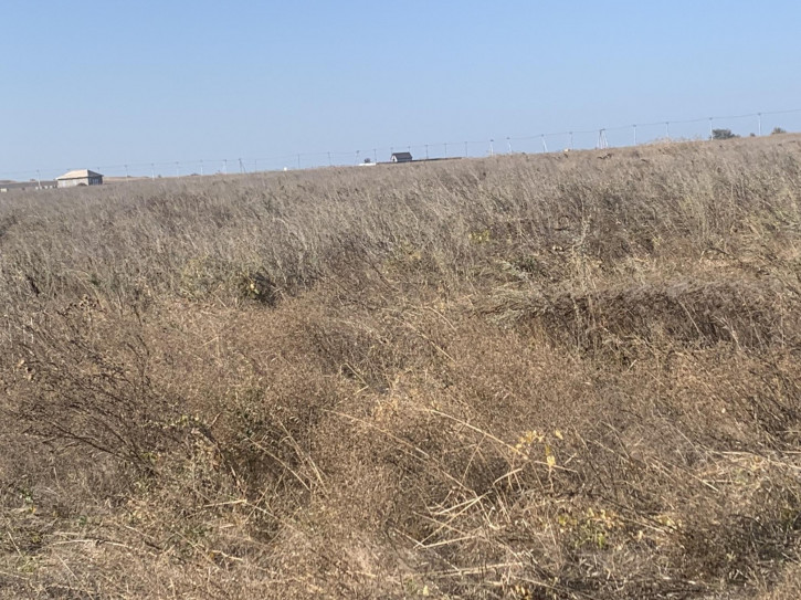 Земельный участок посёлок Кучугуры