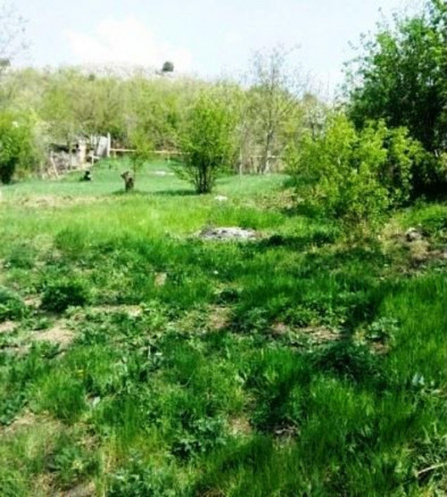 Продажа дома Новая