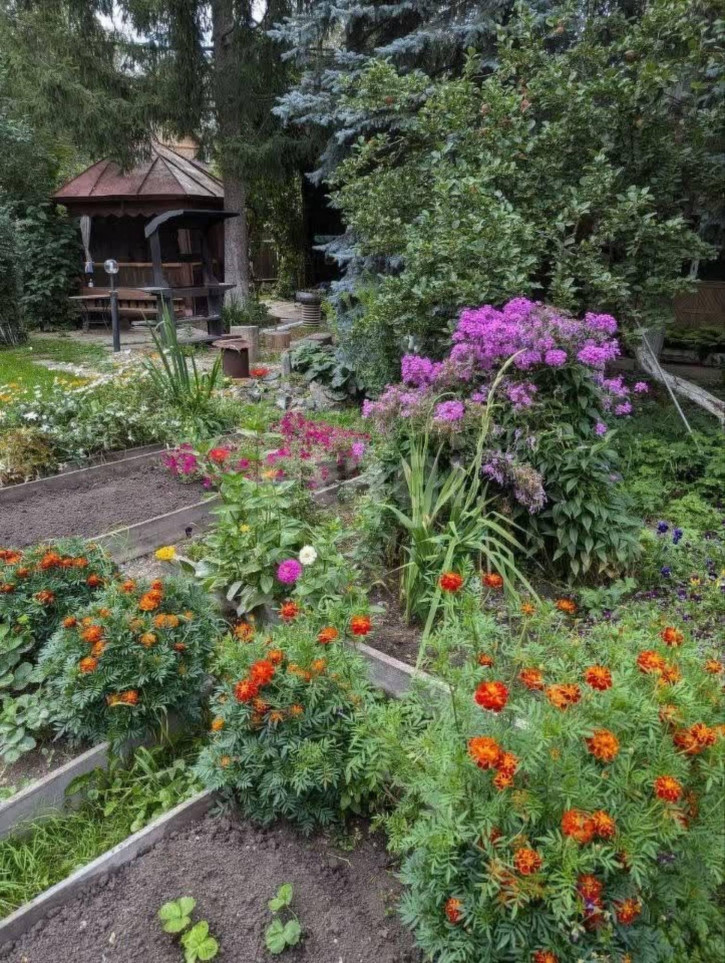 Коттедж/дом СНТ Берёзовая Роща-1, 22