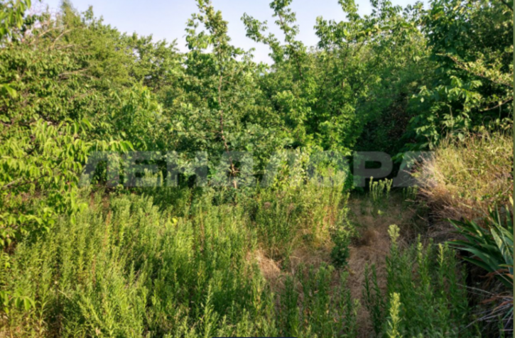 Земельный участок улица Мичурина Земельный участок улица Мичурина