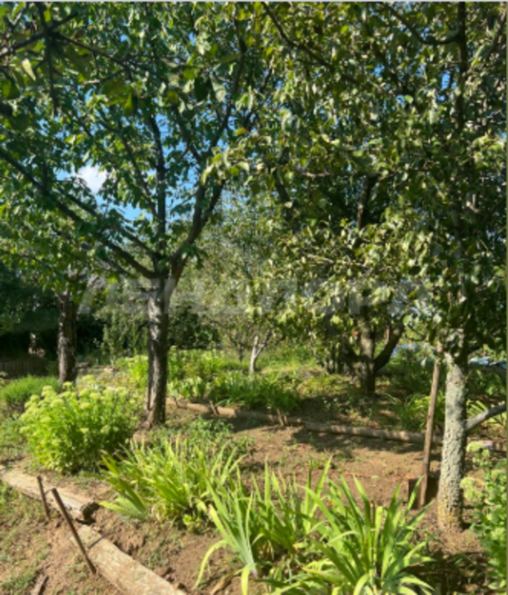 Земельный участок улица Мичурина Земельный участок улица Мичурина