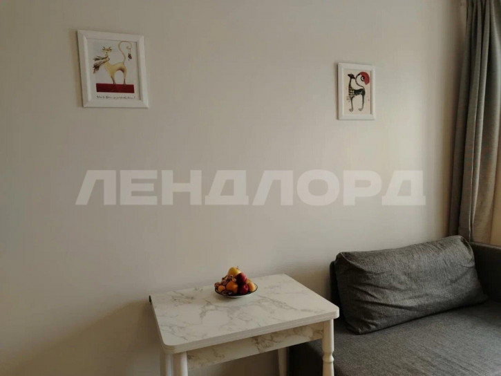 1-комн квартира Доломановский переулок, 124с1 1-комн квартира Доломановский переулок, 124с1
