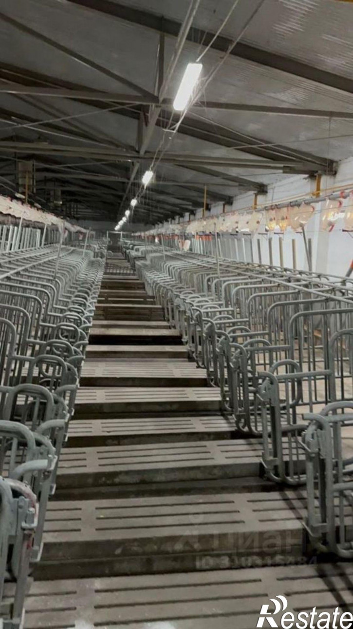 Производственное помещение 03Н-433